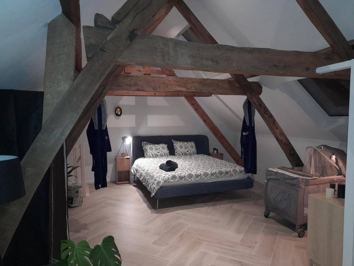 Center In Quiet Street & Airco Appartement Antwerpen